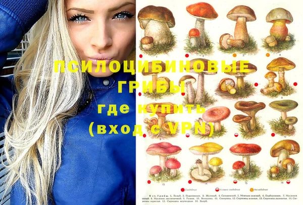 кристаллы Алзамай